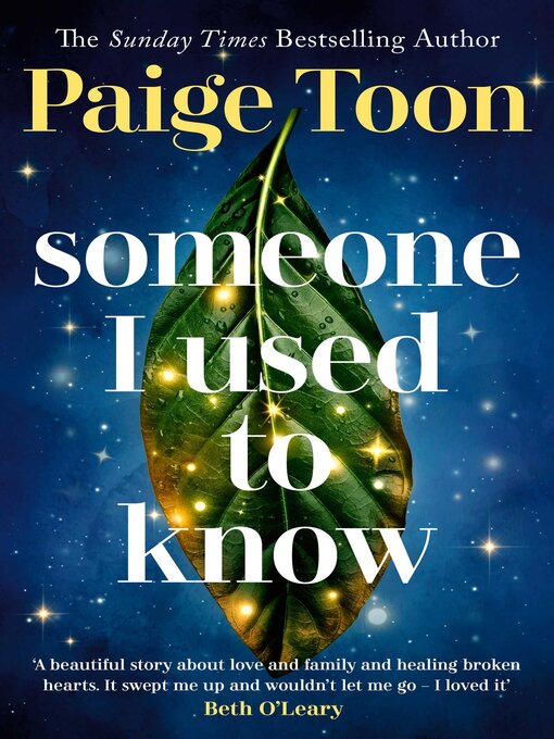 Title details for Someone I Used to Know by Paige Toon - Wait list